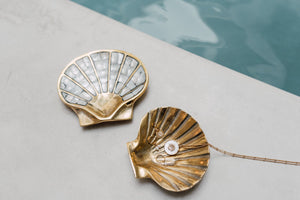 Shell Bowl
