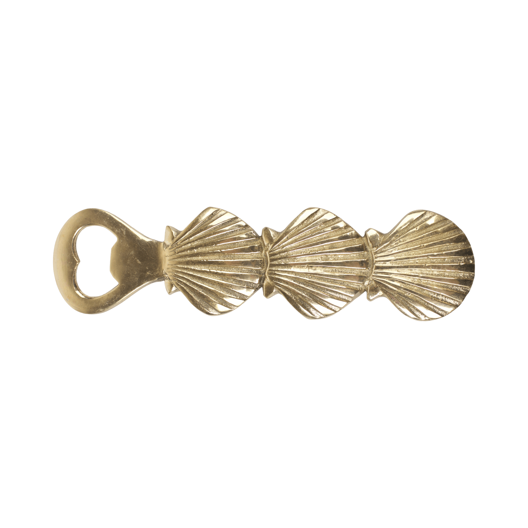 Shell Bottle Opener