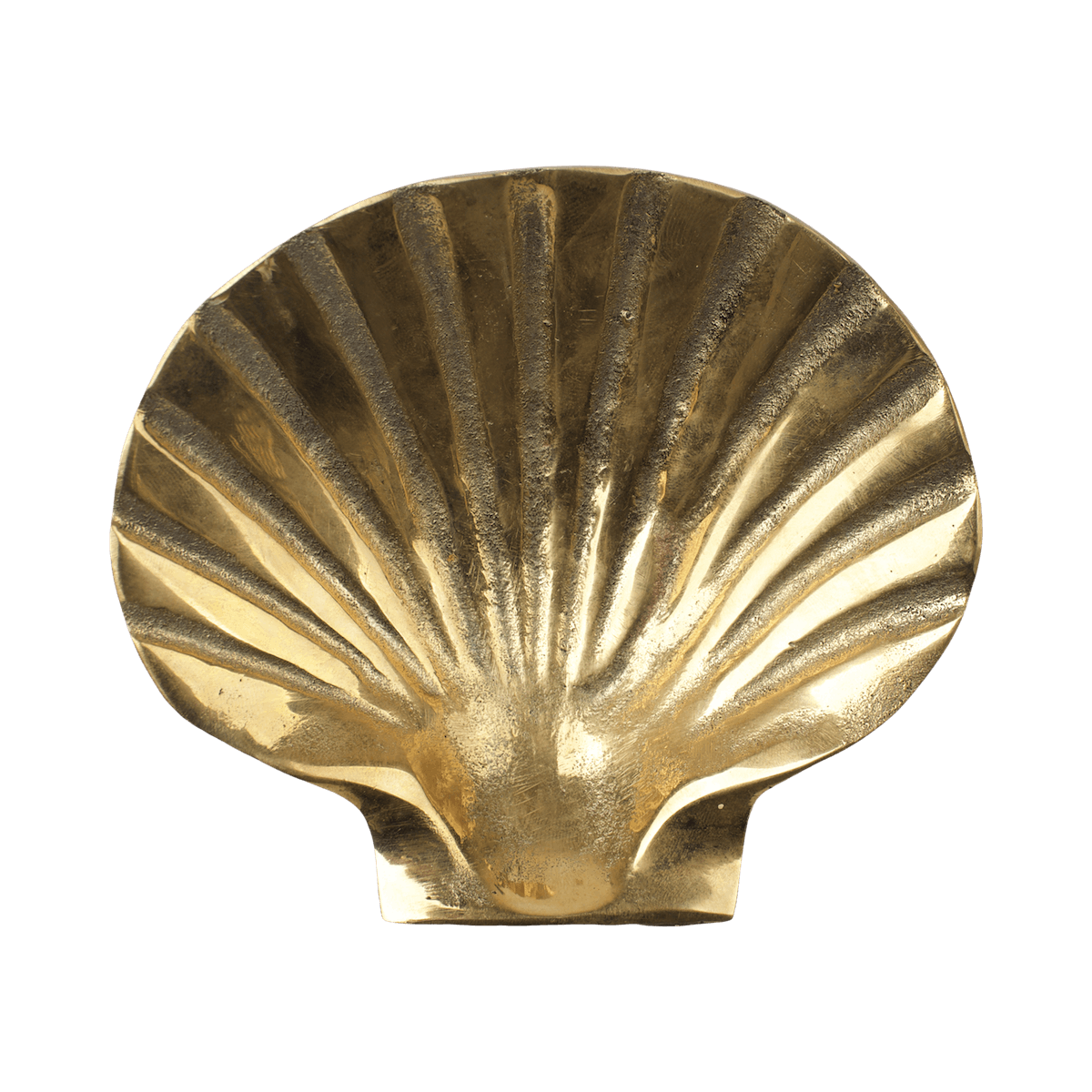 Shell Bowl