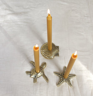 Shell Candle Holder