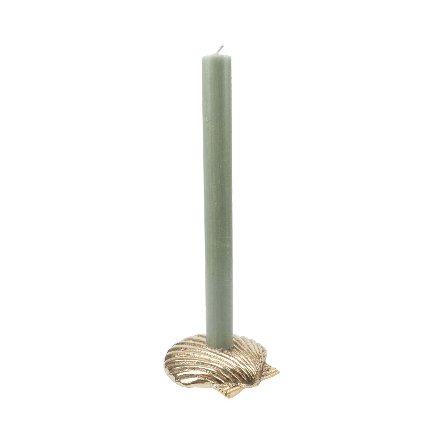 Shell Candle Holder