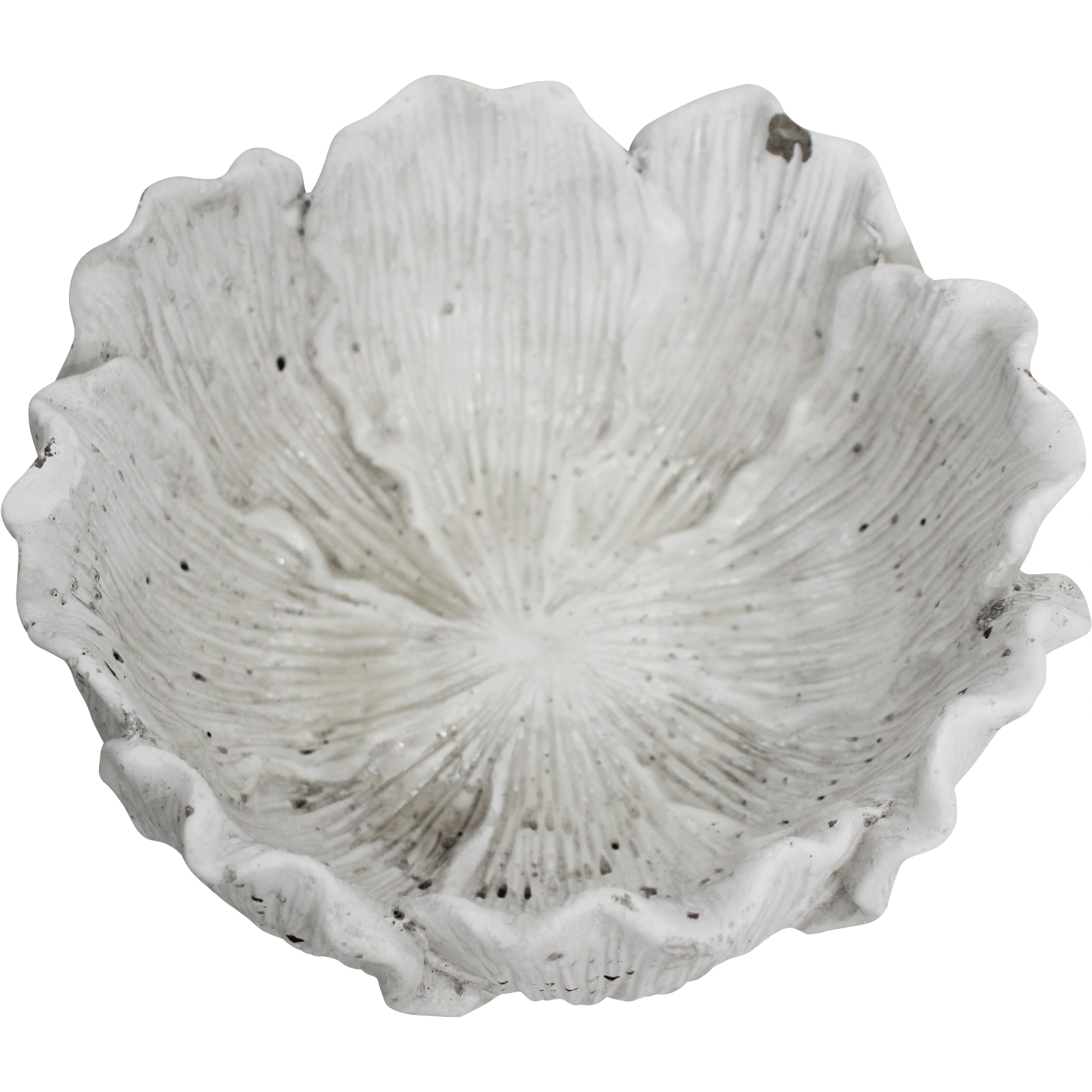 Bowl / Planter Foliose Coral