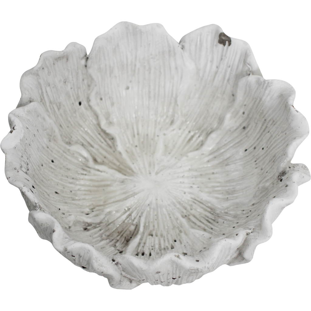 Bowl / Planter Foliose Coral