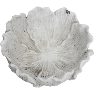 Bowl / Planter Foliose Coral