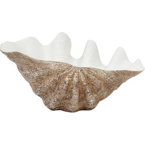 Large Clam Shell Natural