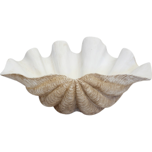 Giant Clam Shell Natural