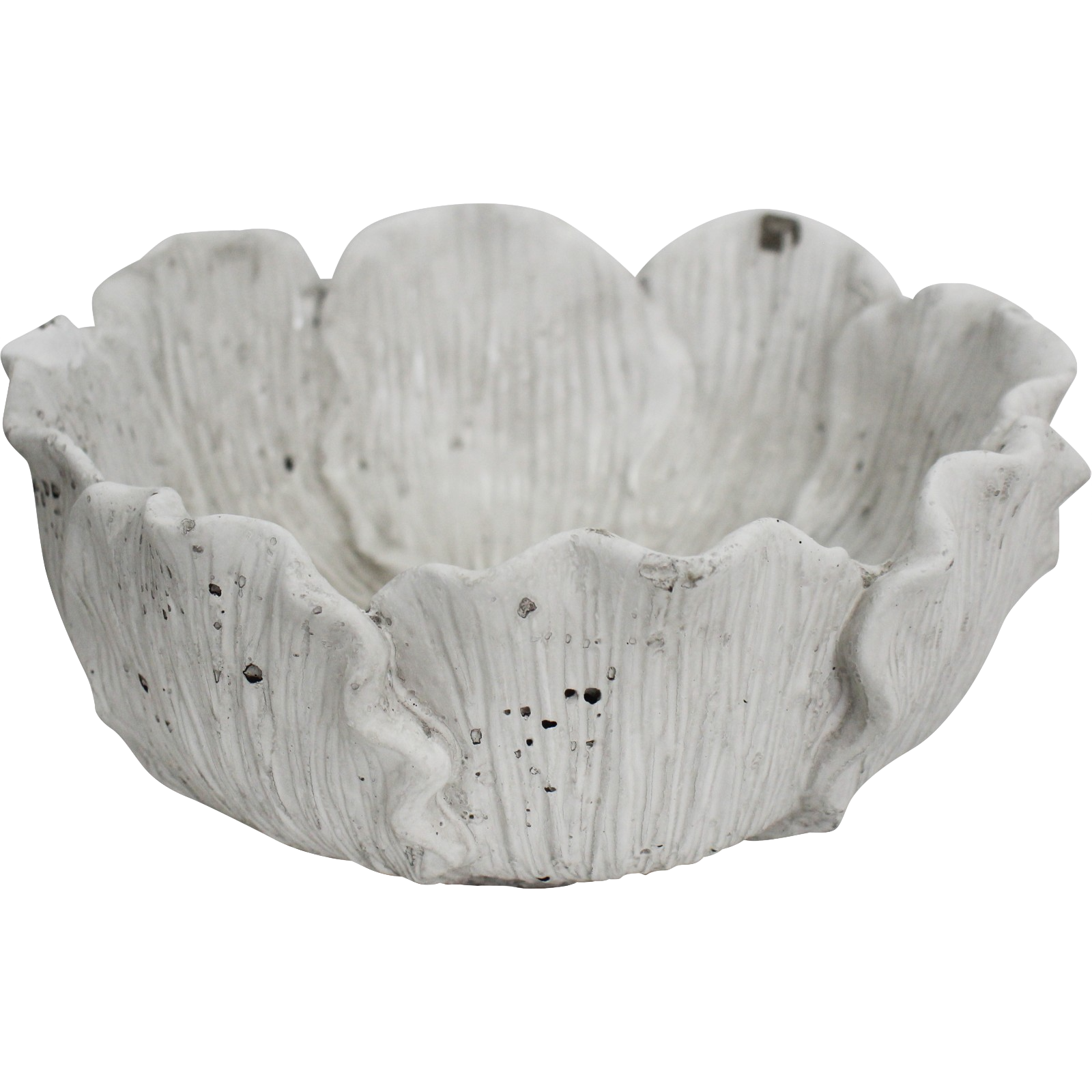 Bowl / Planter Foliose Coral