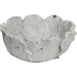 Bowl / Planter Foliose Coral