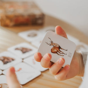 Woodland Memory Card Game